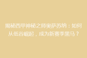 揭秘西甲神秘之师奥萨苏纳：如何从低谷崛起，成为新赛季黑马？