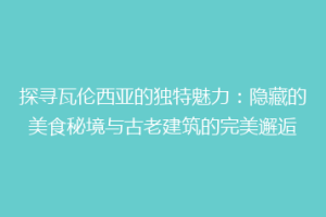 探寻瓦伦西亚的独特魅力：隐藏的美食秘境与古老建筑的完美邂逅