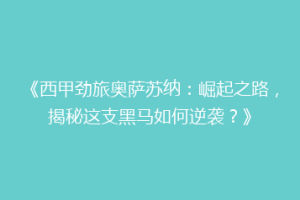 《西甲劲旅奥萨苏纳：崛起之路，揭秘这支黑马如何逆袭？》