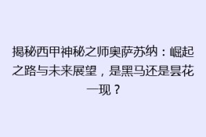 揭秘西甲神秘之师奥萨苏纳：崛起之路与未来展望，是黑马还是昙花一现？