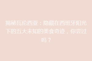 揭秘瓦伦西亚：隐藏在西班牙阳光下的五大未知的美食奇迹，你尝过吗？