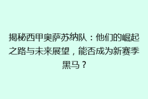 揭秘西甲奥萨苏纳队：他们的崛起之路与未来展望，能否成为新赛季黑马？