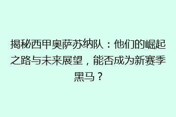揭秘西甲奥萨苏纳队：他们的崛起之路与未来展望，能否成为新赛季黑马？