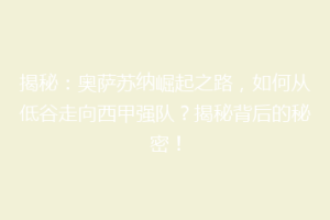 揭秘：奥萨苏纳崛起之路，如何从低谷走向西甲强队？揭秘背后的秘密！