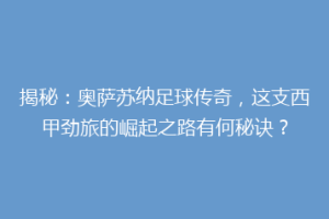 揭秘：奥萨苏纳足球传奇，这支西甲劲旅的崛起之路有何秘诀？