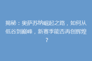 揭秘：奥萨苏纳崛起之路，如何从低谷到巅峰，新赛季能否再创辉煌？