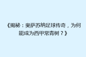 《揭秘：奥萨苏纳足球传奇，为何能成为西甲常青树？》