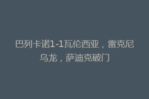 巴列卡诺1-1瓦伦西亚，雷克尼乌龙，萨迪克破门