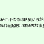 《揭秘西甲传奇球队奥萨苏纳：从低谷崛起的足球励志故事》