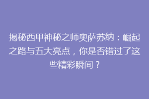 揭秘西甲神秘之师奥萨苏纳：崛起之路与五大亮点，你是否错过了这些精彩瞬间？