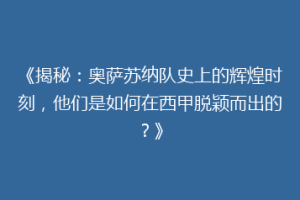 《揭秘：奥萨苏纳队史上的辉煌时刻，他们是如何在西甲脱颖而出的？》