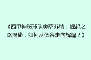 《西甲神秘球队奥萨苏纳：崛起之路揭秘，如何从低谷走向辉煌？》
