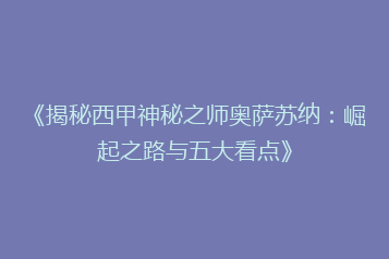 《揭秘西甲神秘之师奥萨苏纳:崛起之路与五大看点》