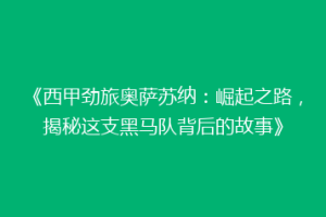 《西甲劲旅奥萨苏纳：崛起之路，揭秘这支黑马队背后的故事》