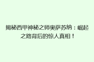揭秘西甲神秘之师奥萨苏纳：崛起之路背后的惊人真相！