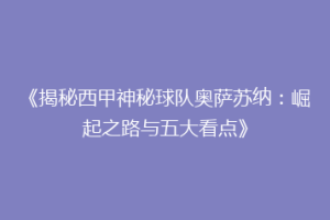 《揭秘西甲神秘球队奥萨苏纳：崛起之路与五大看点》