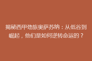 揭秘西甲劲旅奥萨苏纳：从低谷到崛起，他们是如何逆转命运的？