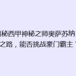 《揭秘西甲神秘之师奥萨苏纳：崛起之路，能否挑战豪门霸主？》
